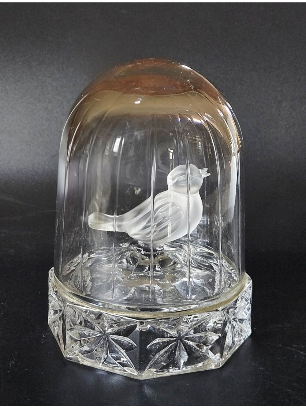 Hofbauer Byrdes Crystal Bird in Cage Germany
